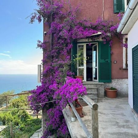 דירות ורנאצה Amazing Flat At The Heart Of 5 Terre National Park מראה חיצוני תמונה