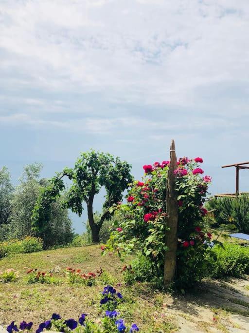 דירות ורנאצה Amazing Flat At The Heart Of 5 Terre National Park מראה חיצוני תמונה